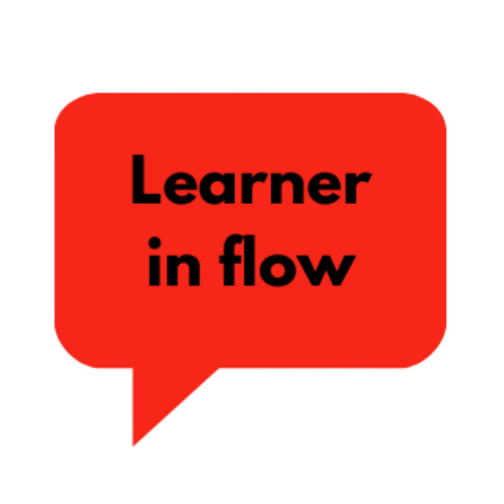 Learner in flow bubble